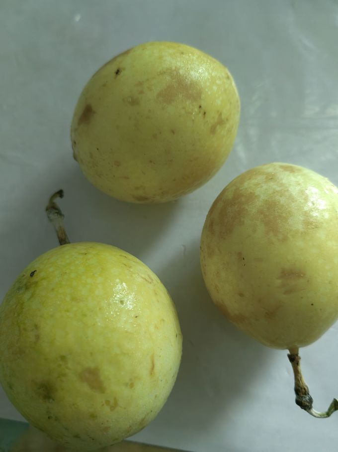 京鲜生新鲜水果