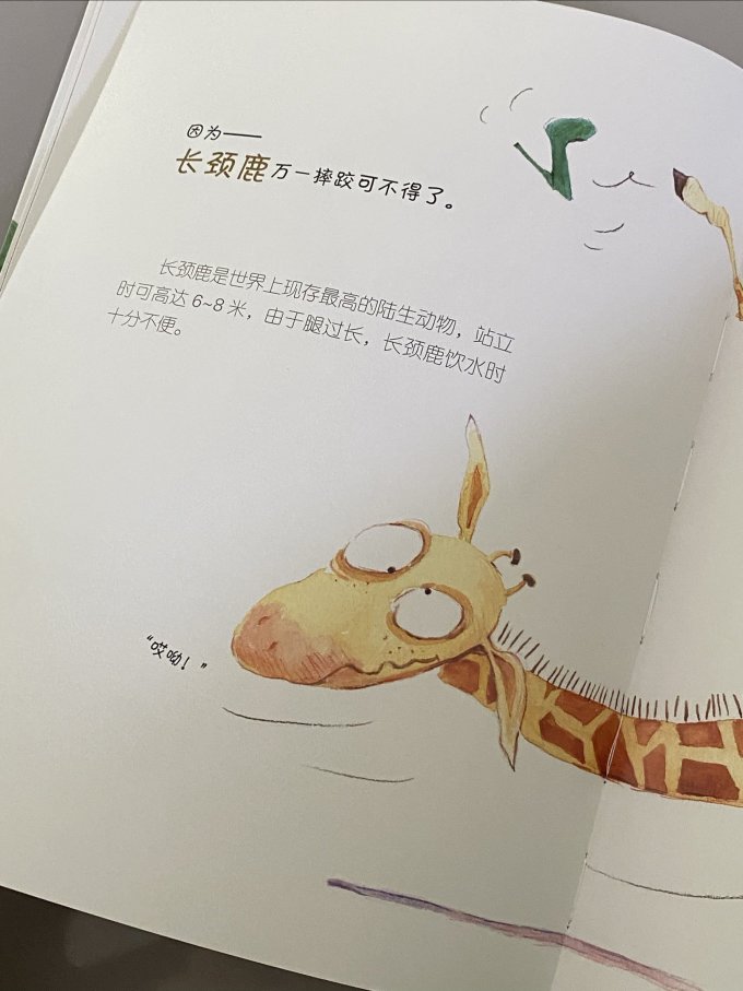 中国人口出版社绘本/图画书