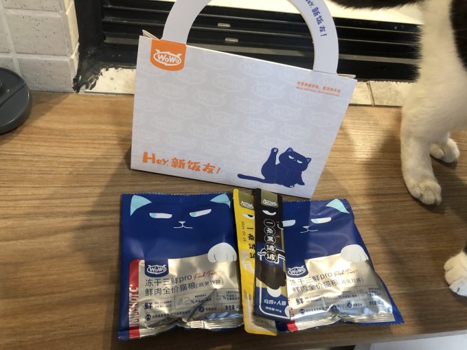 猫咪干粮