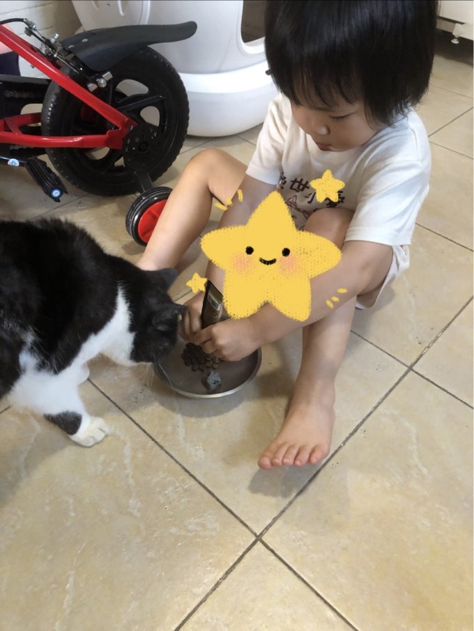 猫咪干粮