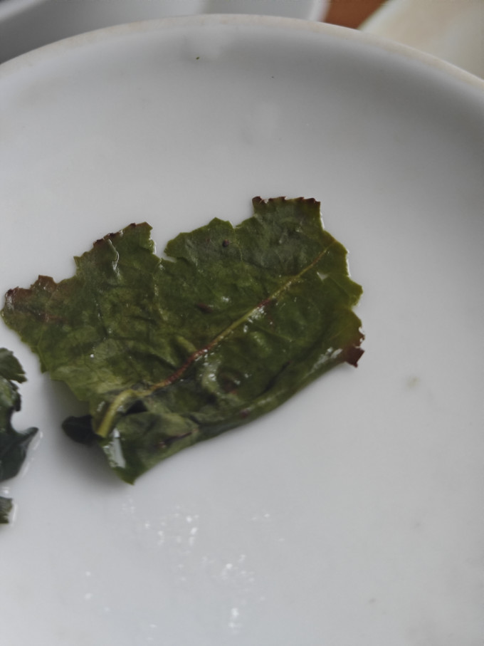 陶津缘乌龙茶