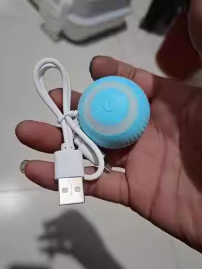 宠物智能玩具