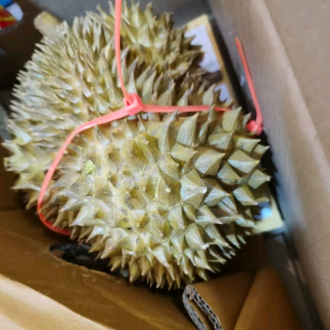 新鲜水果