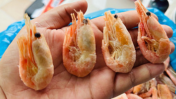 618种草，揭秘北极甜虾的健康秘密