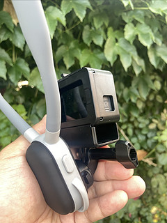 500块买了个gopro5，日常记录巴适的很！