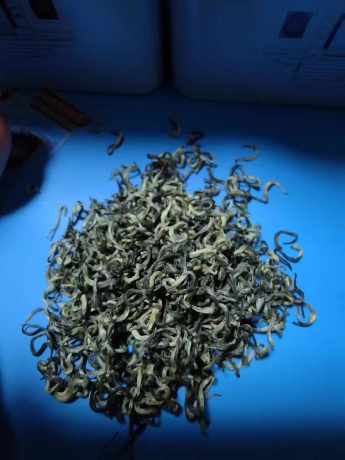 一杯香绿茶