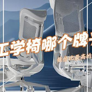 人体工学椅哪个牌子比较好？2024最建议买这3个：性价比高，口碑公认！