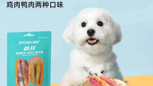 中小犬泰迪的洁齿守护神