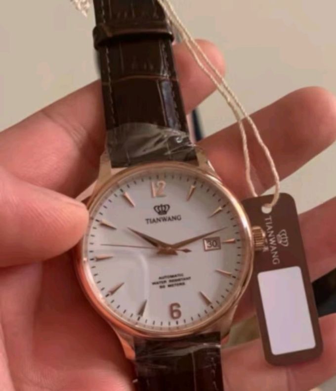 天王tianwang国产手表男沧海系列皮带石英男表学生情侣表白色gs3886s