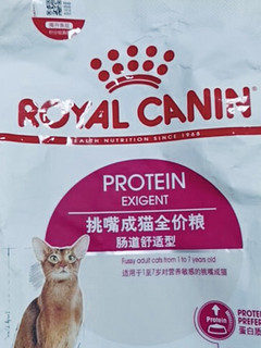 猫咪也能享美味？