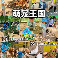 北京喂动物好去处，不用去动物园人挤人！