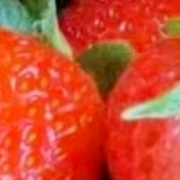 《云南夏季草莓：小果实大滋味的夏日美食》