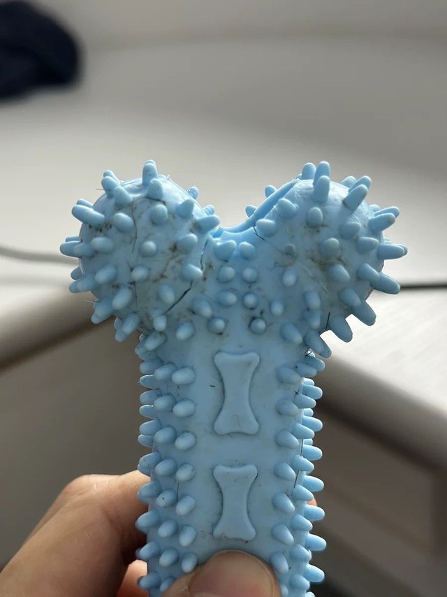 狗狗磨牙棒