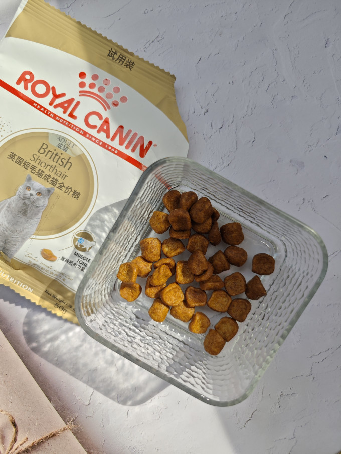 皇家猫咪干粮