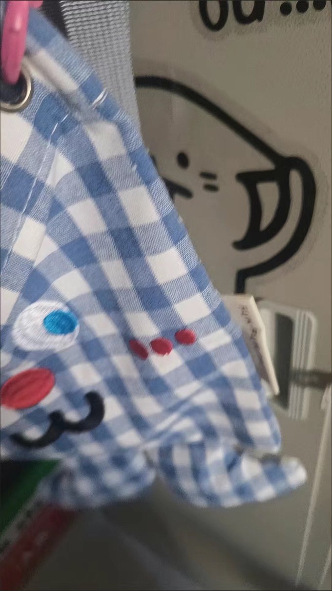 女士斜挎包