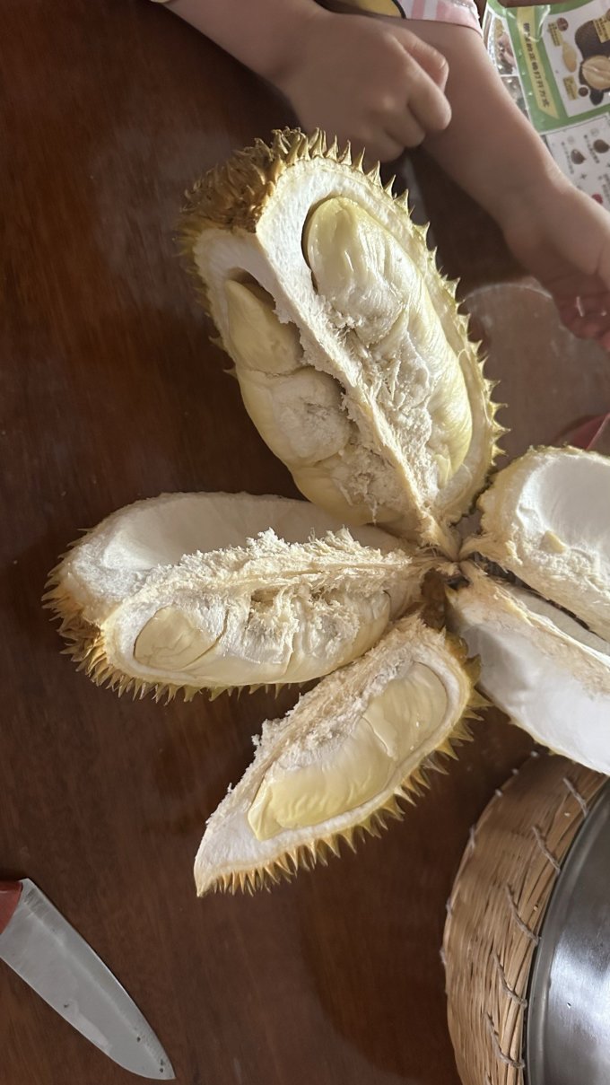 榴莲