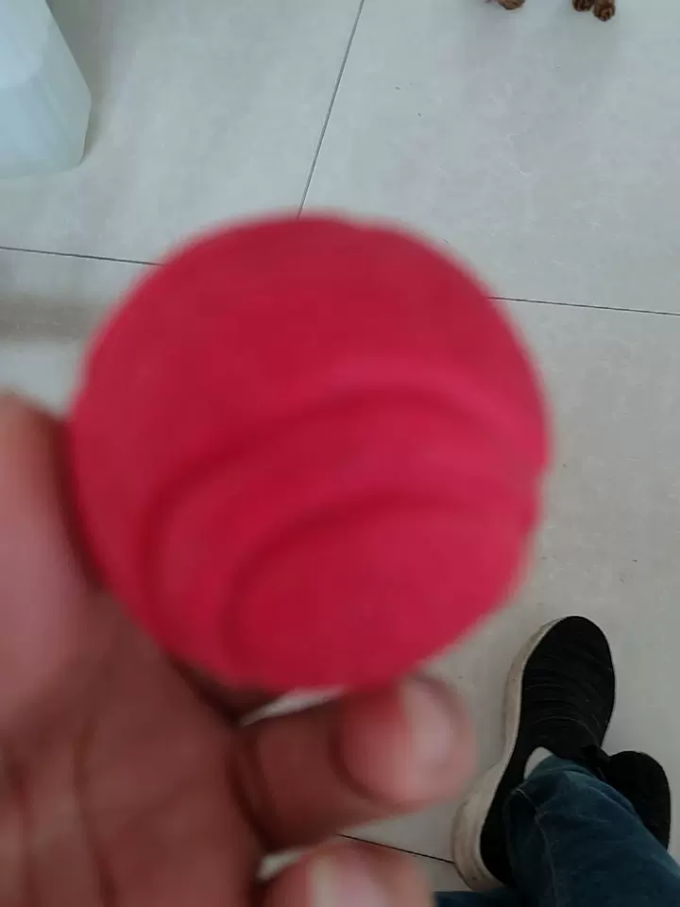 其他狗狗玩具