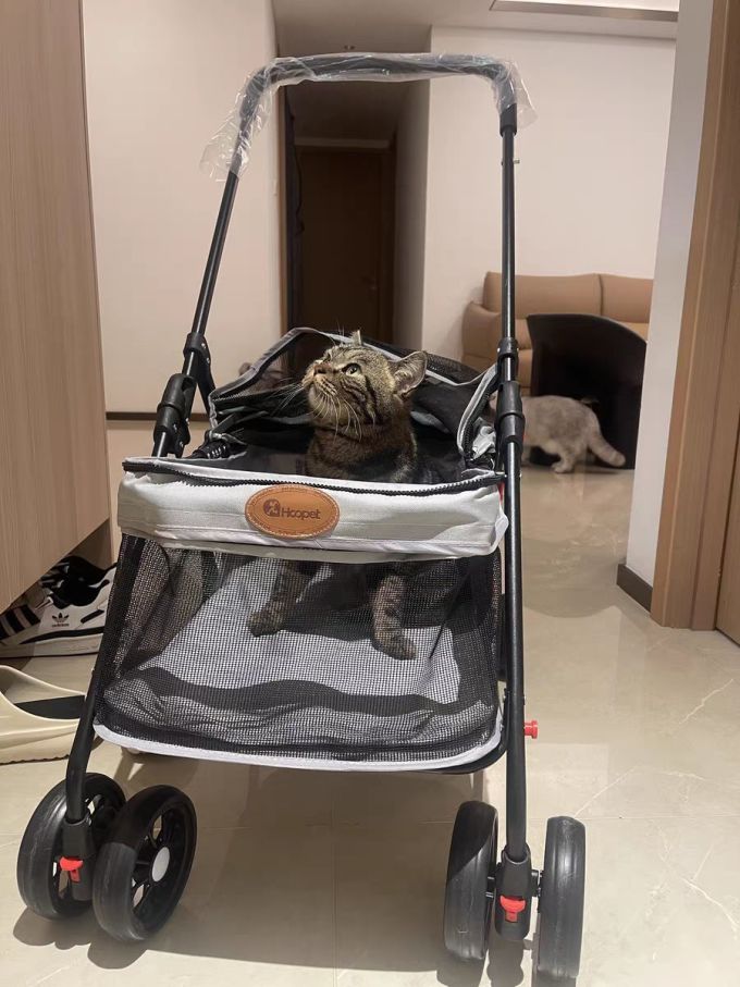华元宠具其他宠物出行装备