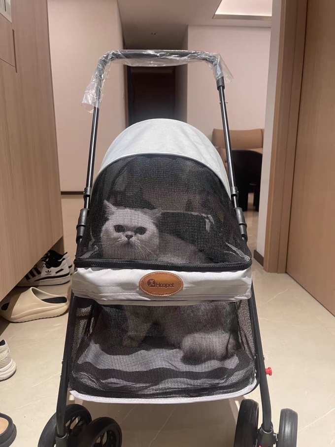华元宠具其他宠物出行装备