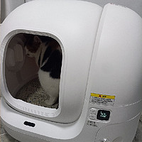 小佩智能猫砂盆max使用两周的真实体验