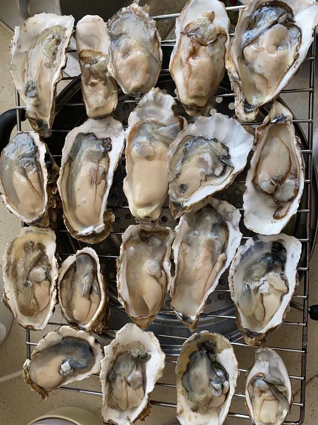 第一次网购生蚝