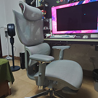 京东京造Z9Elite2代人体工学椅灰色 电竞椅 办公椅子电脑椅久坐 带脚踏