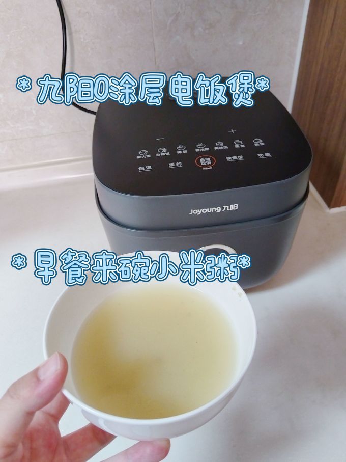 九阳电饭煲