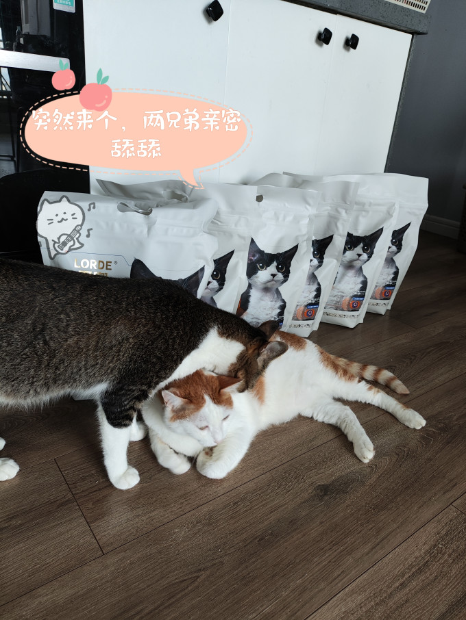 里兜猫砂