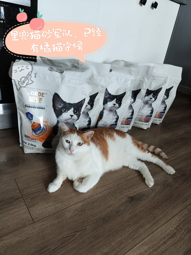 里兜小黑核混合猫砂，已齐齐整整到达猫猫家
