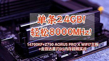 装机不求人 篇六十三：单条24GB！轻松8000MHz!丨14700KF+Z790 AORUS PRO X WIFI7主板+金百达星刃D5内存超频实战
