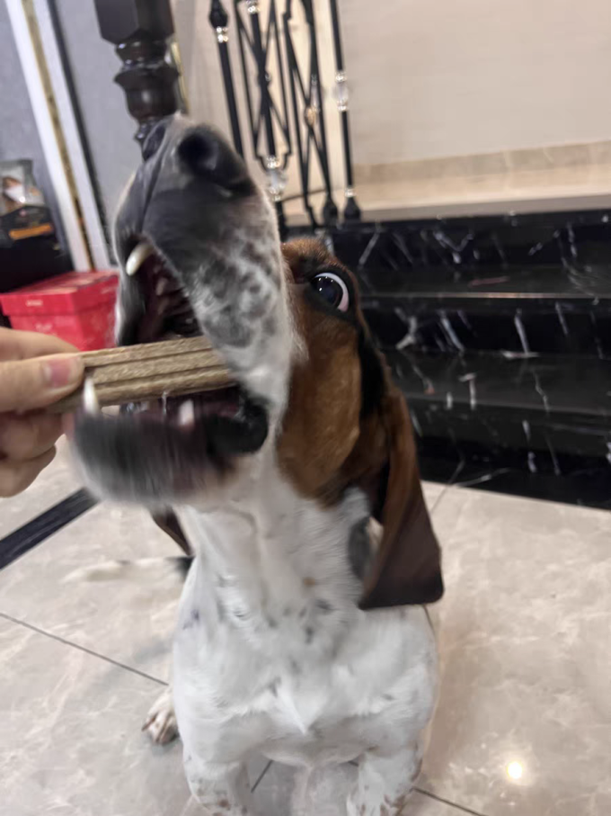 齿一生狗狗磨牙棒