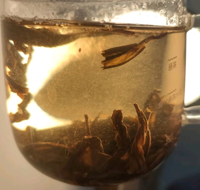 京觅普洱茶