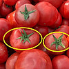 好物分享 篇二十八：买番茄时，挑选6片叶还是5片叶？区别很大，建议弄懂再买！