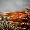 风物中国 篇三十二：中国北方，最好吃的“十大”美食是什么？网评这些上榜，你认可吗