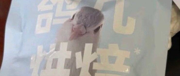有鱼低温烘焙猫粮怎么样_猫咪干粮_什么值得买
