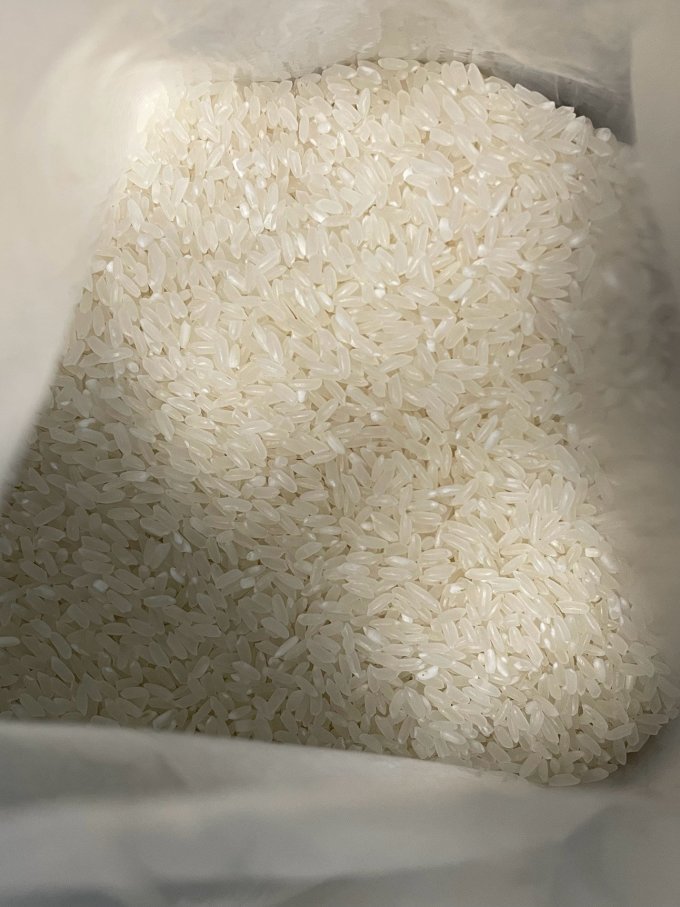 十月稻田大米