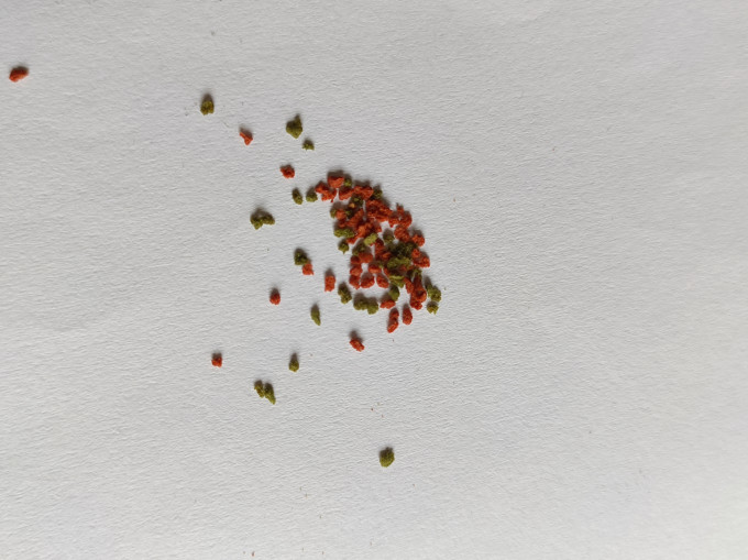 意牌鱼粮