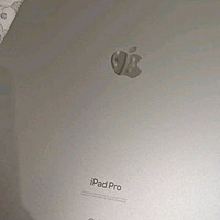 Apple/苹果 iPad Pro13英寸M4芯片 2024年新款平板电脑(2T WLAN版/标准玻璃/MVX93CH/A)银色