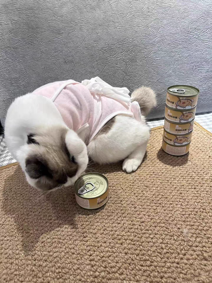 嬉皮狗猫咪零食罐/妙鲜包