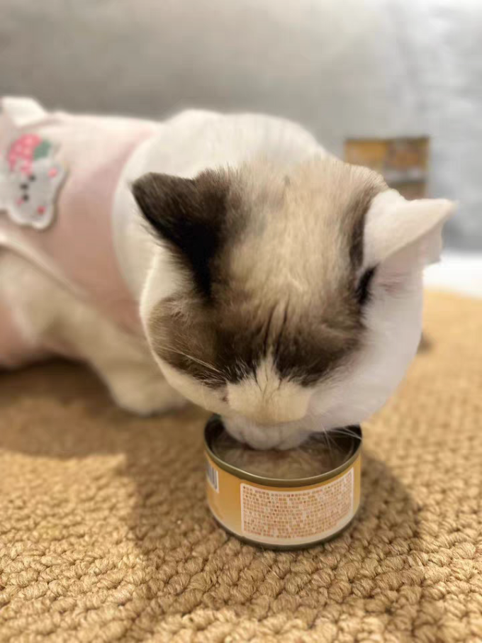 嬉皮狗猫咪零食罐/妙鲜包