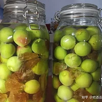 想泡青梅酒，用什么酒比较好？