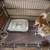 狗窝四季通用夏天宠物窝小型中型大型犬冬天保暖猫窝垫宠物用品床