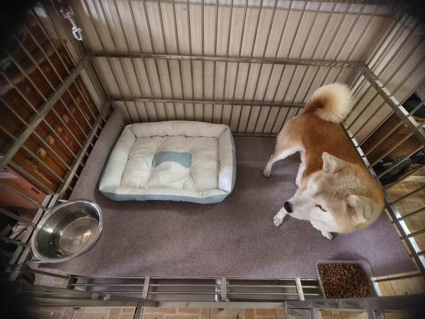 狗窝四季通用夏天宠物窝小型中型大型犬冬天保暖猫窝垫宠物用品床