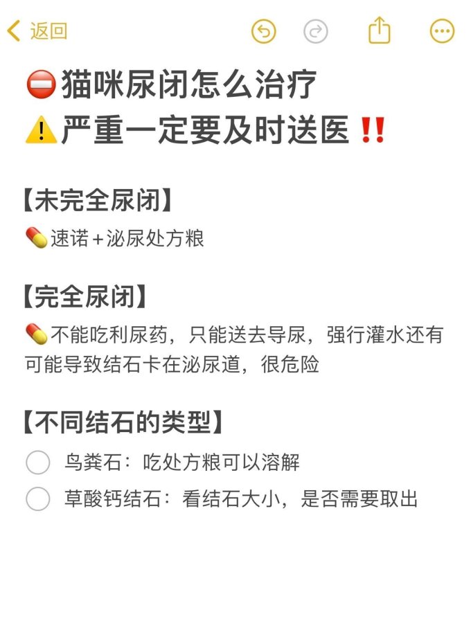东方澳龙猫咪干粮