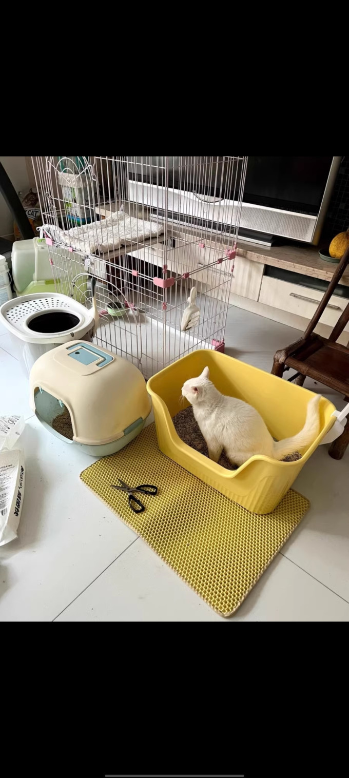 捣蛋猫全封闭式猫砂盆