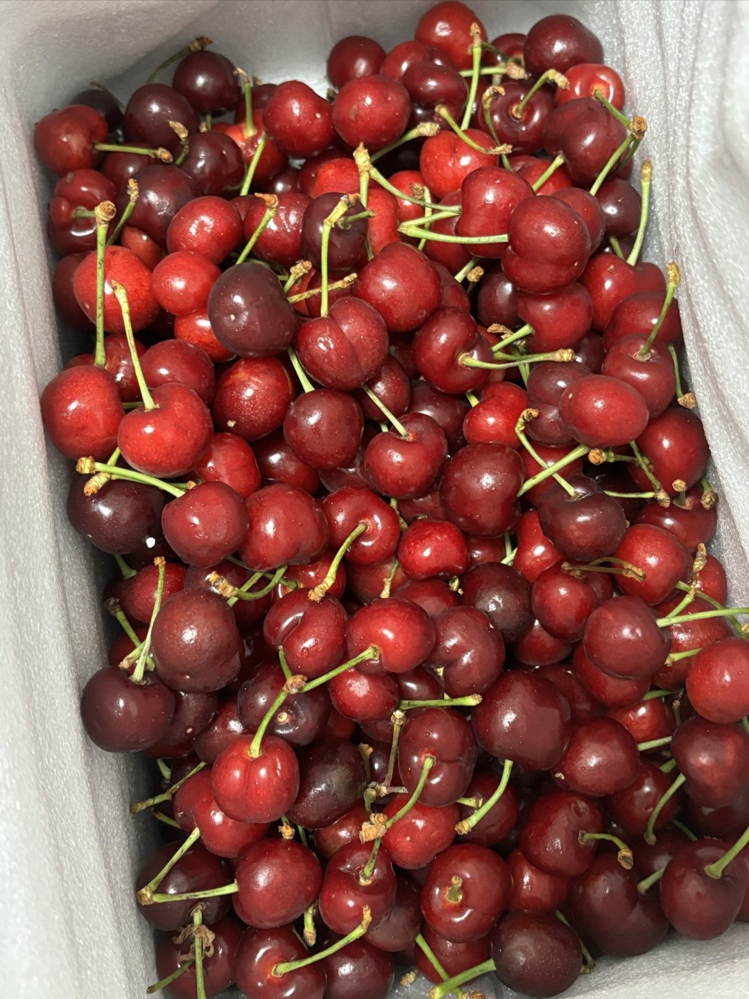 10元一斤的樱桃等了一个月