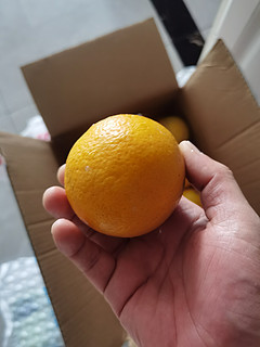 这次的鲜橙买亏了