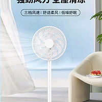 先锋(Singfun)追风系列电风扇DLD-D17