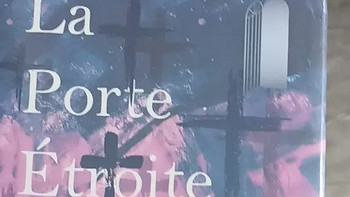 《窄门》：安德烈·纪德的法国爱情故事与当代文学魅力