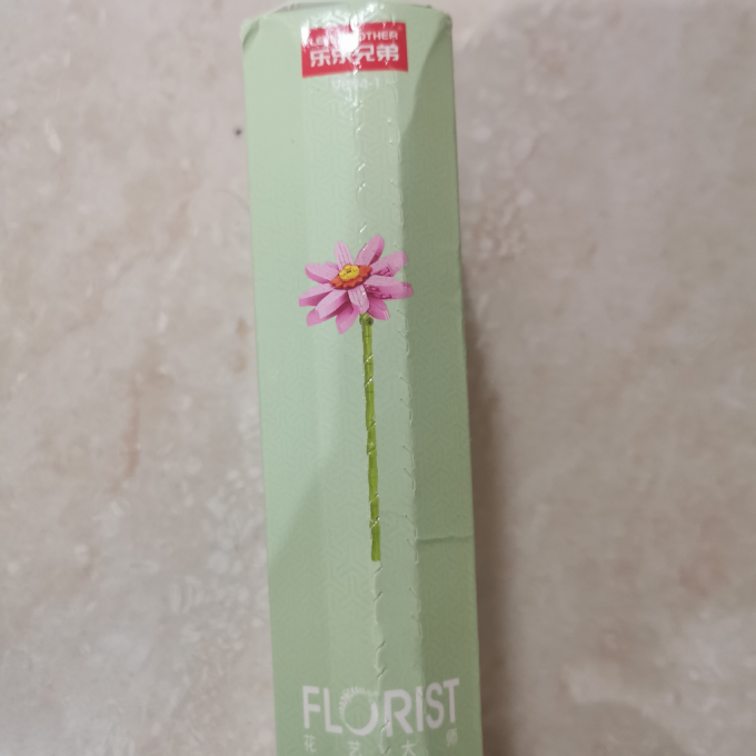 拼插积木